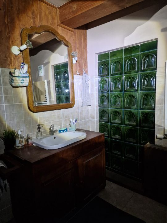 CABANĂ DE VÂNZARE ÎN ROMULI, BISTRIȚA-NĂSĂUD – fotografia 10 din 21