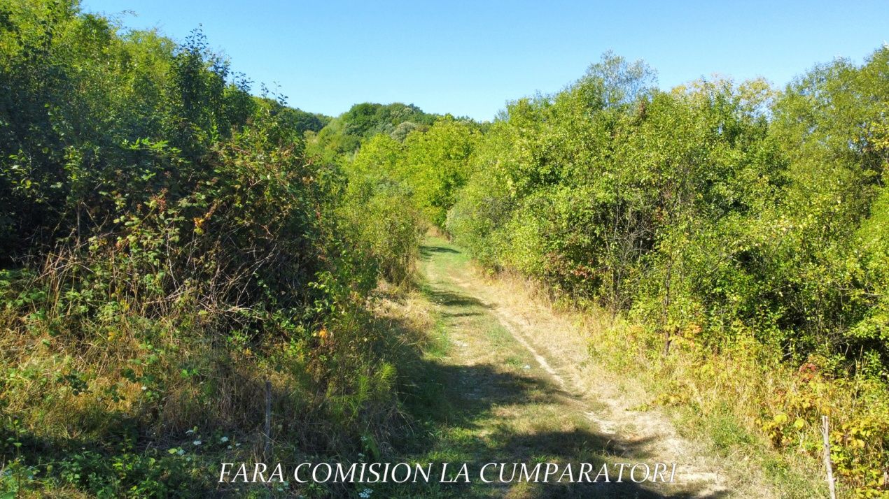 TEREN LANGA ORAS, CADRU NATURAL MINUNAT – fotografia 11 din 14