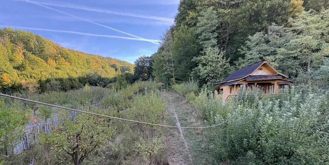 Micesti 12 km de Pitesti/ 2 cabane/ 2.500 mp teren/ priveliste superba – fotografia 7 din 15