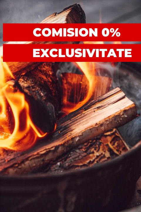 Vanzare Pensiune de Lux in Vlaha, Oportunitate Investitie Turism – fotografia 39 din 40