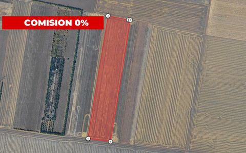 Teren Agricol Extravilan 5.5 HA – Uzunu, Călugăreni, plan secund