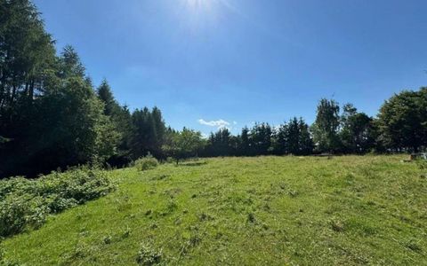 Teren intravilan 5.755 mp | Zona Muzeul Satului Maramureșean, Sighetu Marmației