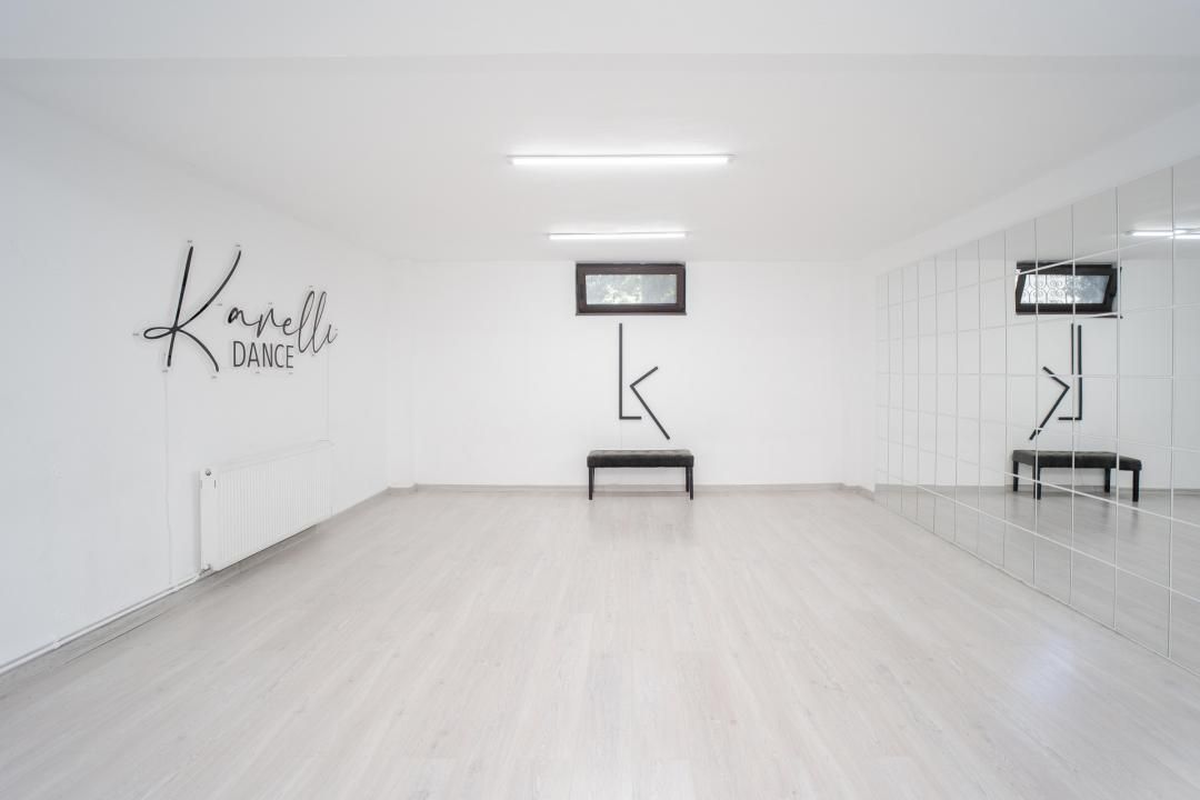 Vilă Grandioasă 650 mp+Spațiu Comercial 110 mp Tătărași Teren 968 mp – fotografia 18 din 20