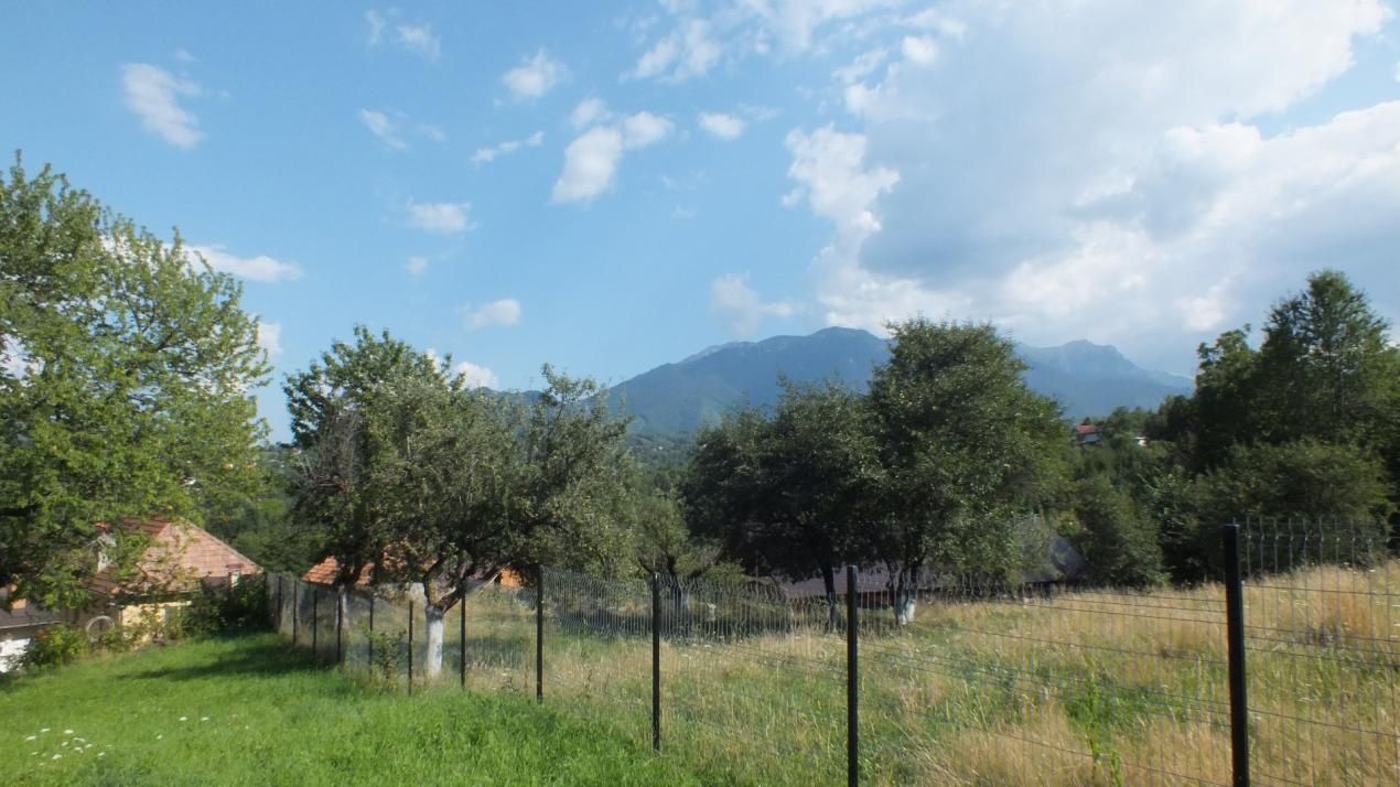 Teren Bran Sohodol , o zona de vis, o priveliste unica spre Bucegi! – fotografia 5 din 17