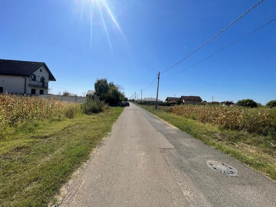 Teren intravilan-Moara Vlasiei 1.008 mp, toate utilitățile, la marginea pădurii – fotografia 7 din 12