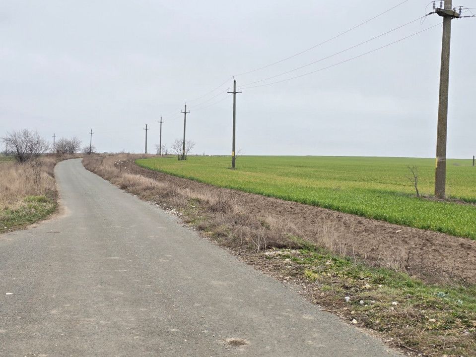 Teren de vanzare in Tuzla malul lacului sarat Techirghiol – fotografia 1 din 9