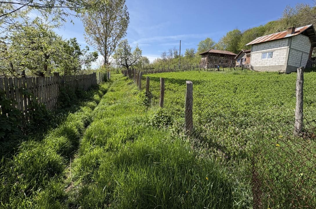 14.613 mp teren | Casă la roșu și 2 case tradiționale | 1,5 km de A1 Tigveni – fotografia 9 din 10