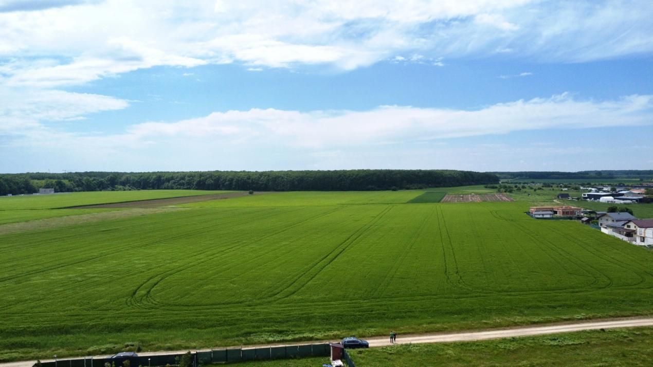 ✨OPORTUNITATE INVESTIȚIE:Teren intravilan 25.000mp Dascălu-Pădure, parcelabil✨ – fotografia 13 din 14