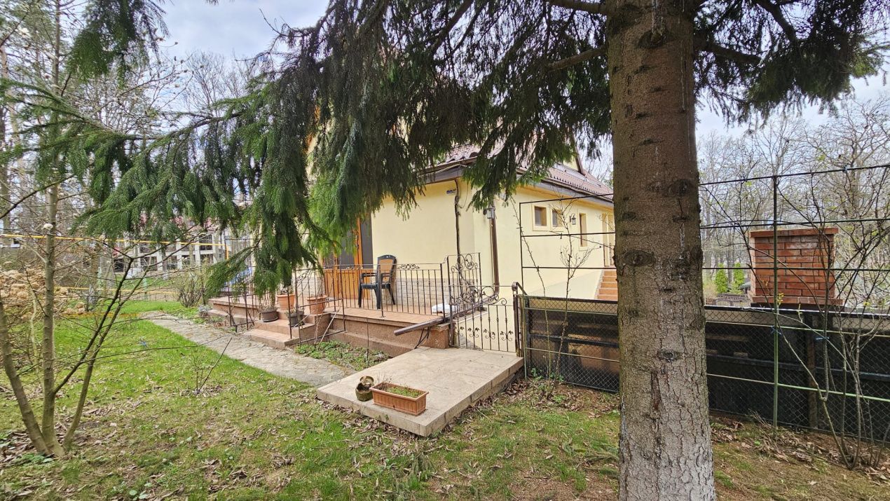 Casa de vanzare in padure | Bucium | Cartier select, restrans – fotografia 4 din 24
