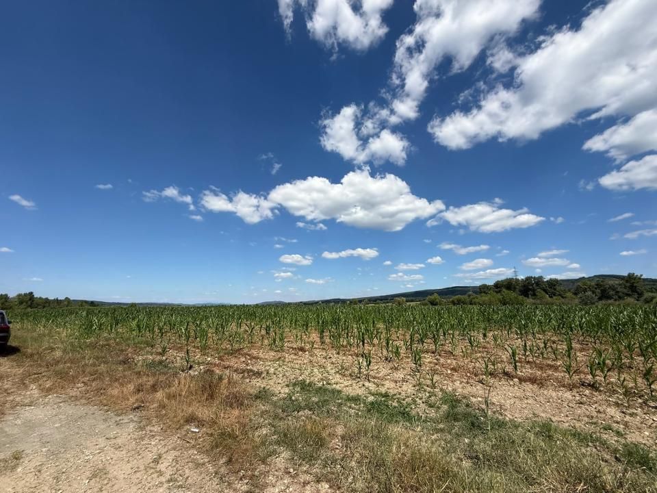Teren 14.000 mp în Budeasa cu vedere superbă către baraj – fotografia 4 din 5