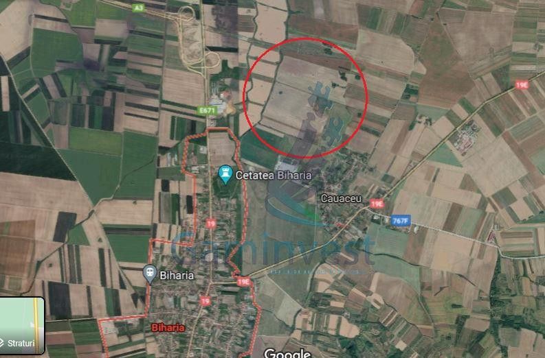 Teren extravilan de vanzare, Biharia 1 hectar, Bihor – fotografia 1 din 2
