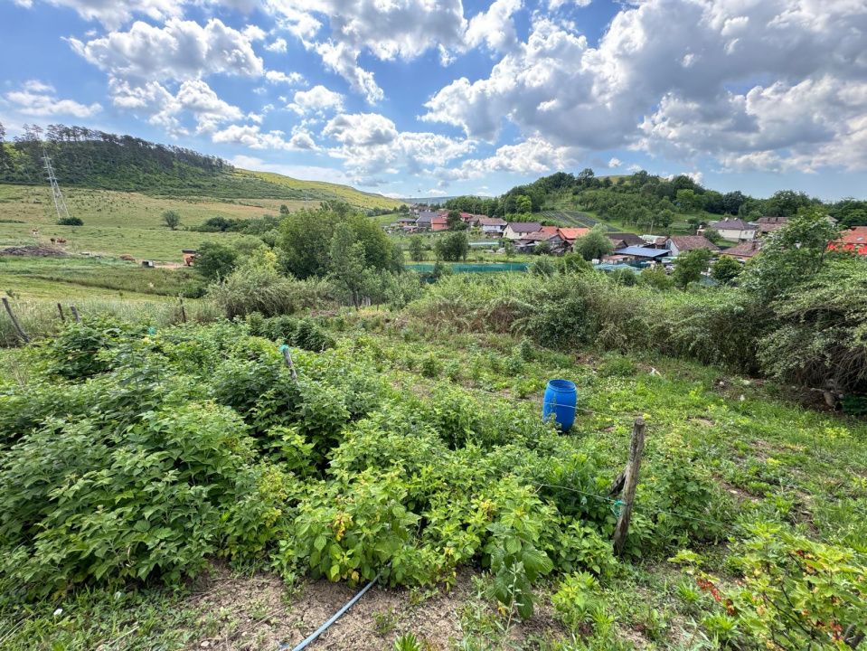 Ofertă de vânzare casă în Bonțida aproape de Castelul Banffy – fotografia 10 din 27