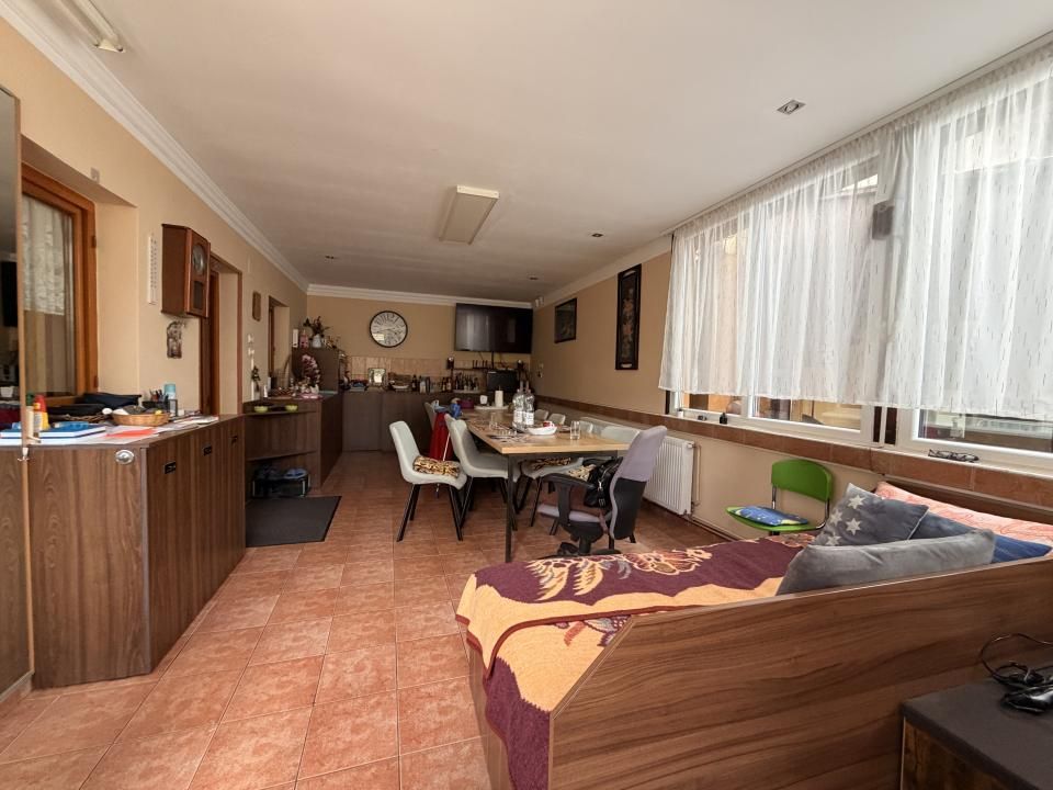 Casa individuala 300 mp, utili, 1100 mp gradina - Sag – fotografia 16 din 37