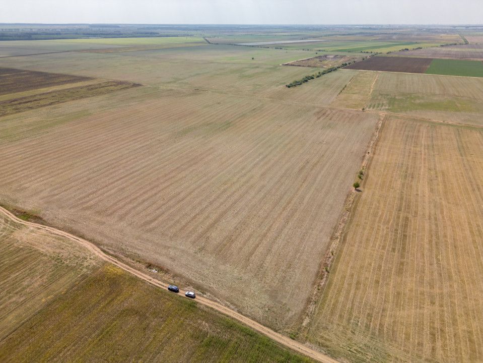 DASCALU - TEREN INTRAVILAN 7500 MP, INVESTITIE! – fotografia 2 din 17
