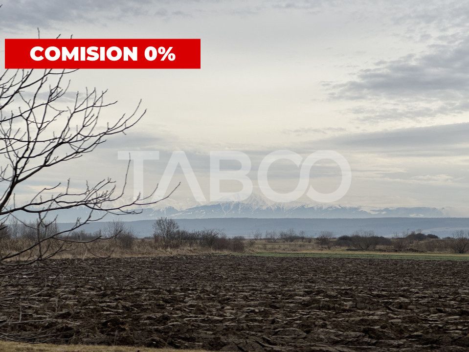 Teren 3750 mp deschidere 54 m de vanzare in Paltinis Sibiu – fotografia 1 din 2
