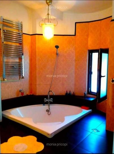 3 Camere de inchiriat | Mosilor | PetFriendly | Centrala | Terasa – fotografia 7 din 9
