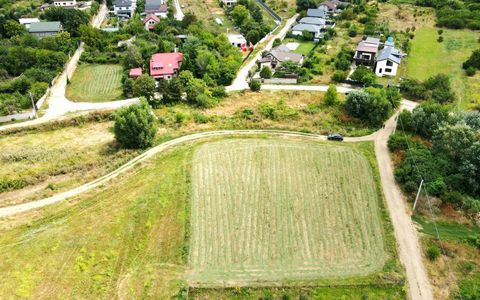 Teren intravilan la Teghes – pozitionare excelenta langa padure