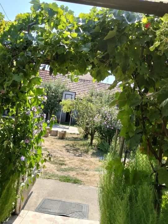 Casă 60 mp utili, teren 1.400 mp | Borșa (Răscruci), Cluj – fotografia 2 din 16