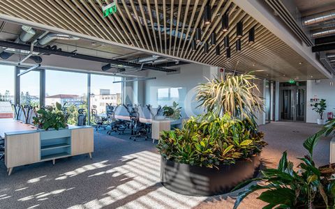 Birouri premium in Sibiu–Spatii flexibile moderne pentru companii