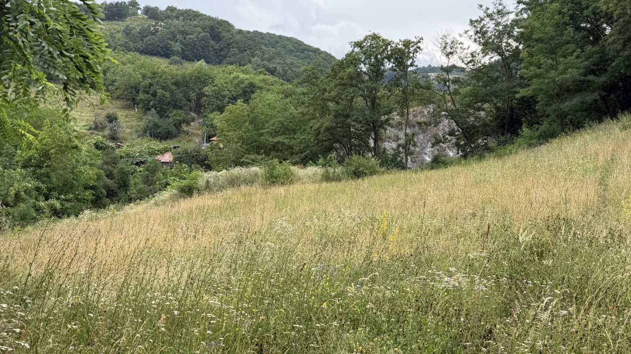 TEREN Intravilan 1257 mp Liziera Pădurii Meteș Platou Cabană la 15 km Alba Iulia – fotografia 4 din 11