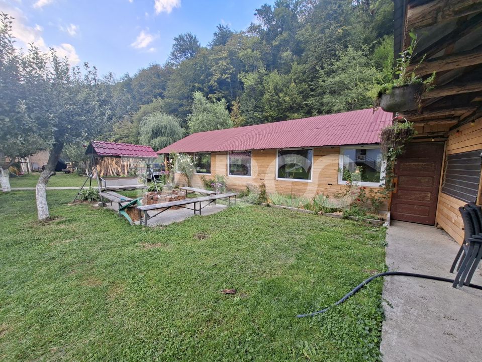 Spatiu de vanzare in Valea Macesului judel Valcea iesire la Lotru – fotografia 33 din 49