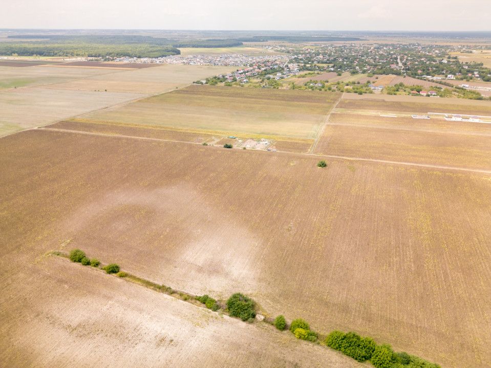 DASCALU – TEREN INTRAVILAN 11300 MP, INVESTITIE! – fotografia 17 din 18
