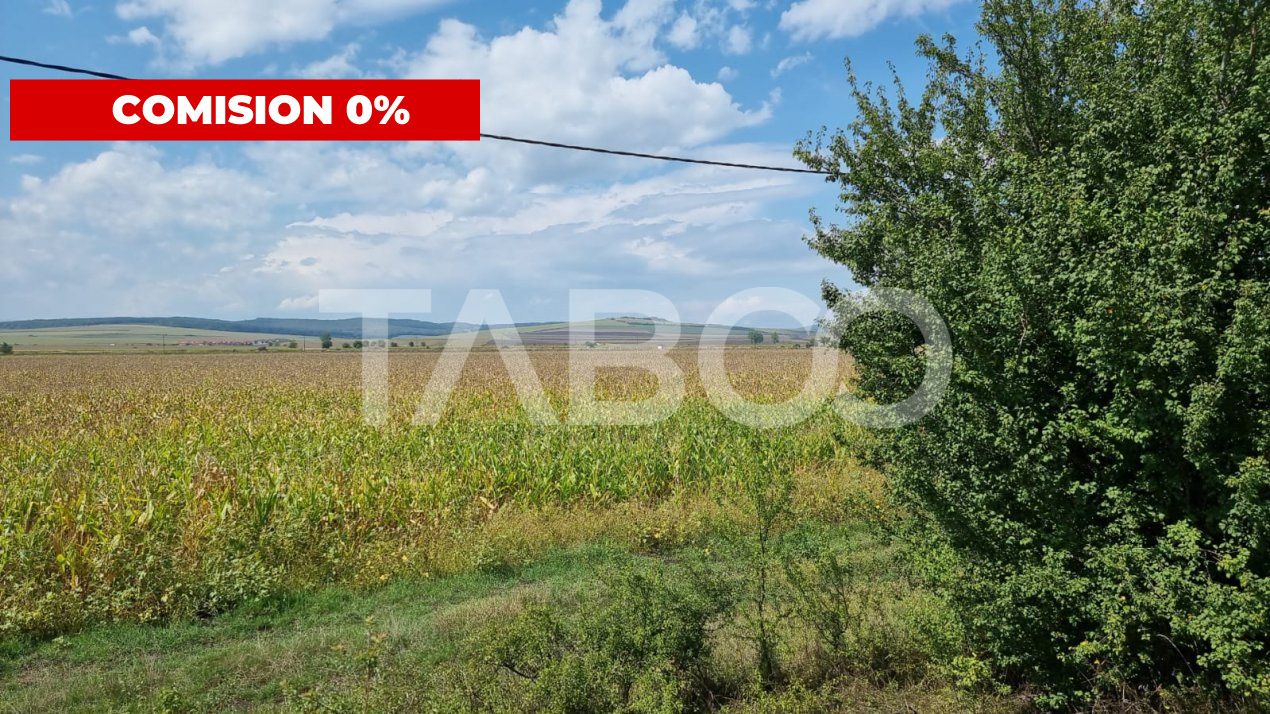 Oportunitate investitie Comision 0%  28000 mp in Sura Mica Sibiu – fotografia 2 din 7