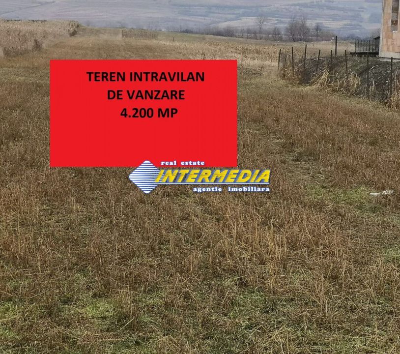 Teren intravilan 4200 mp de vanzare Alba Micesti cu utiliati langa – fotografia 1 din 3
