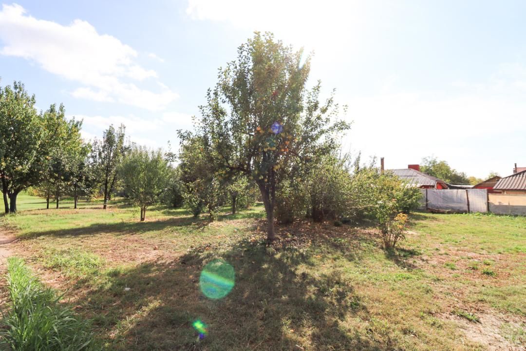 AFACERE LA CHEIE – SPAȚIU COMERCIAL | TĂMĂDĂU MARE | STRADA PRINCIPALA – fotografia 10 din 24