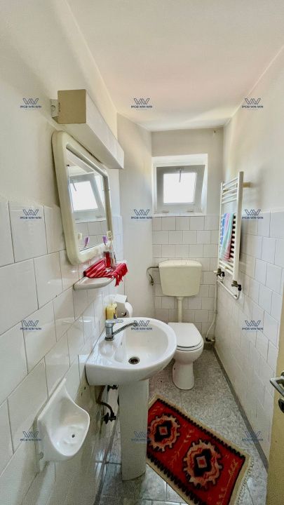 Proprietate Excepțională cu Potențial Dublu în Valea Ursului, Argeș – fotografia 17 din 20