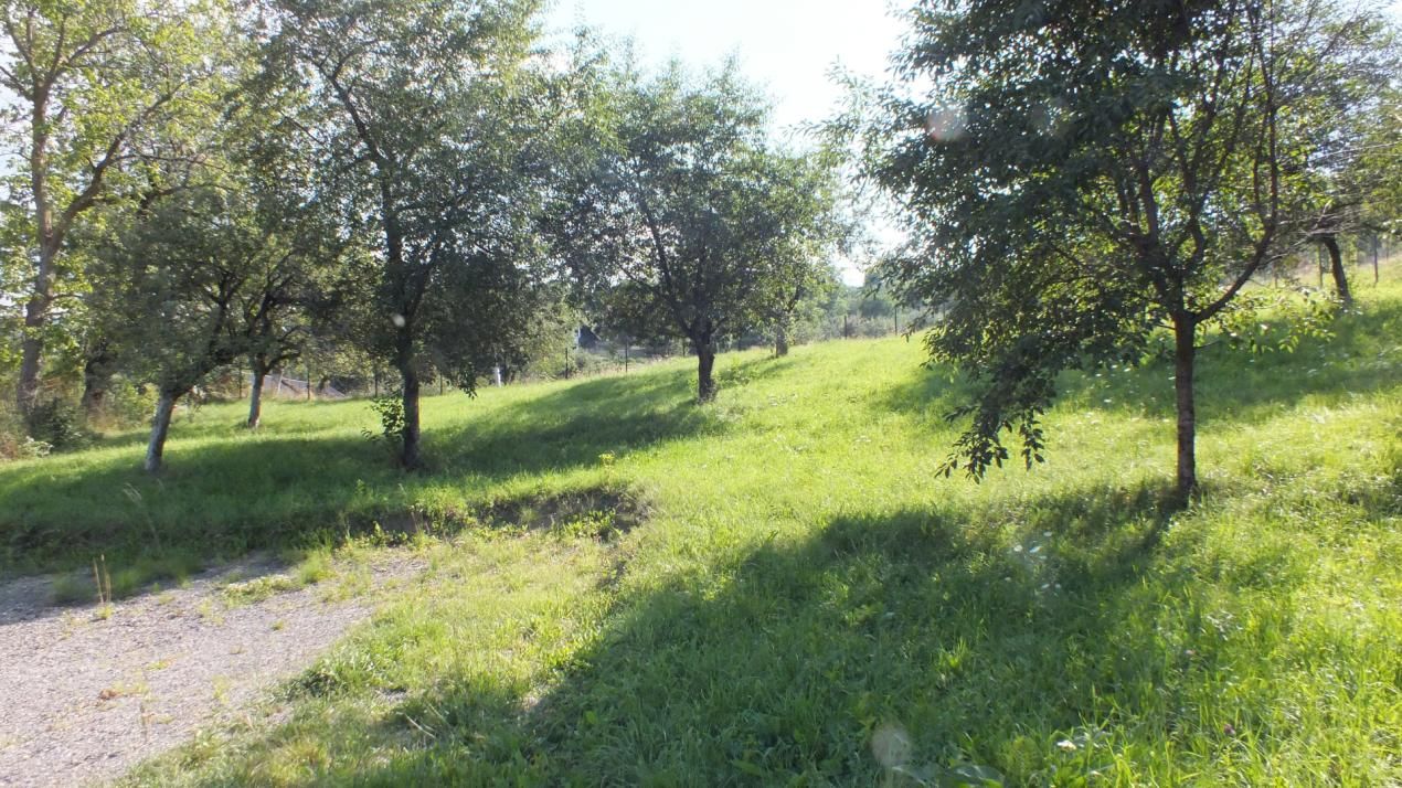 Teren Bran Sohodol , o zona de vis, o priveliste unica spre Bucegi! – fotografia 12 din 17