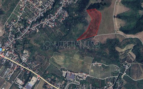 Teren terasat vie defrisata Stefanesti Arges - Crama Marcea