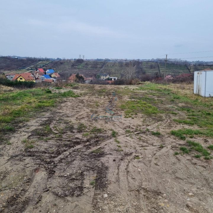 Vanzare Teren intravilan 3133 mp strada Sofiei, Oradea, Bihor - Exclusivitatate – fotografia 3 din 7