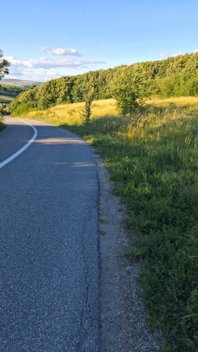 Teren intravilan 6297mp în Com. Mociu , Zorenii de Vale – fotografia 8 din 13