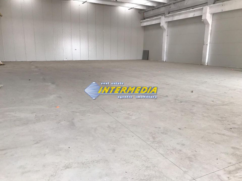 Hale Productie Depozitare Alba Su. de la 1725 mp. - 4000 mp. finisata complet – fotografia 1 din 11