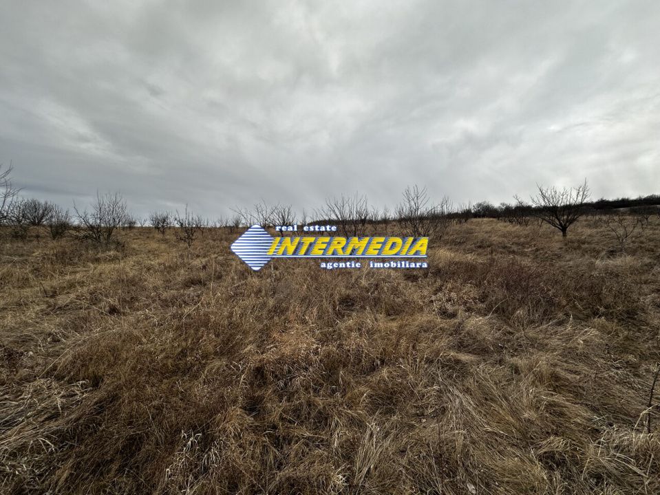 Teren extravilan de vanzare in suprafata de 80000 mp cu livada de pomi fructiferi – fotografia 5 din 11