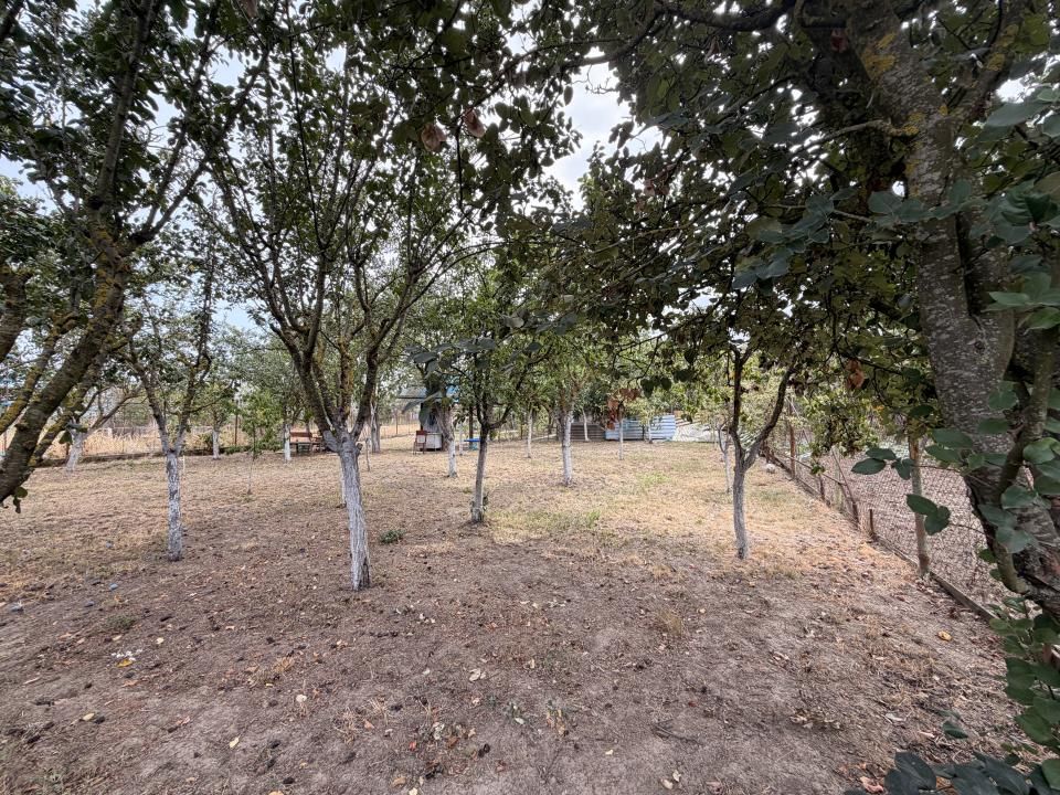 Casa individuala 300 mp, utili, 1100 mp gradina - Sag – fotografia 36 din 37