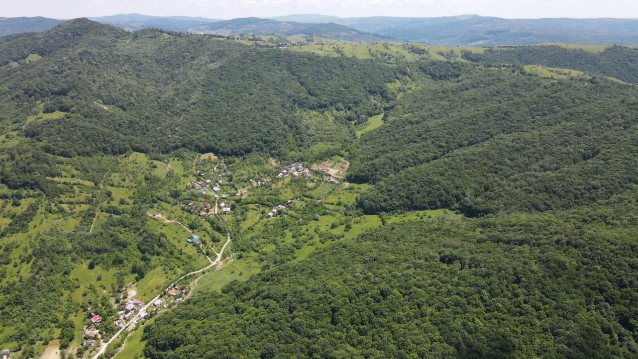 Teren spectaculos cu padure, livada si priveliste panoramica in Soimari PH – fotografia 10 din 16