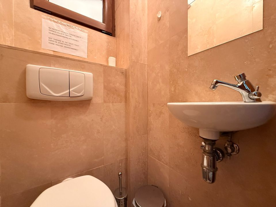 Vila individuală Decebal/ Piata Alba Iulia/ 5 camere/ curte/  ideal birou – fotografia 19 din 20