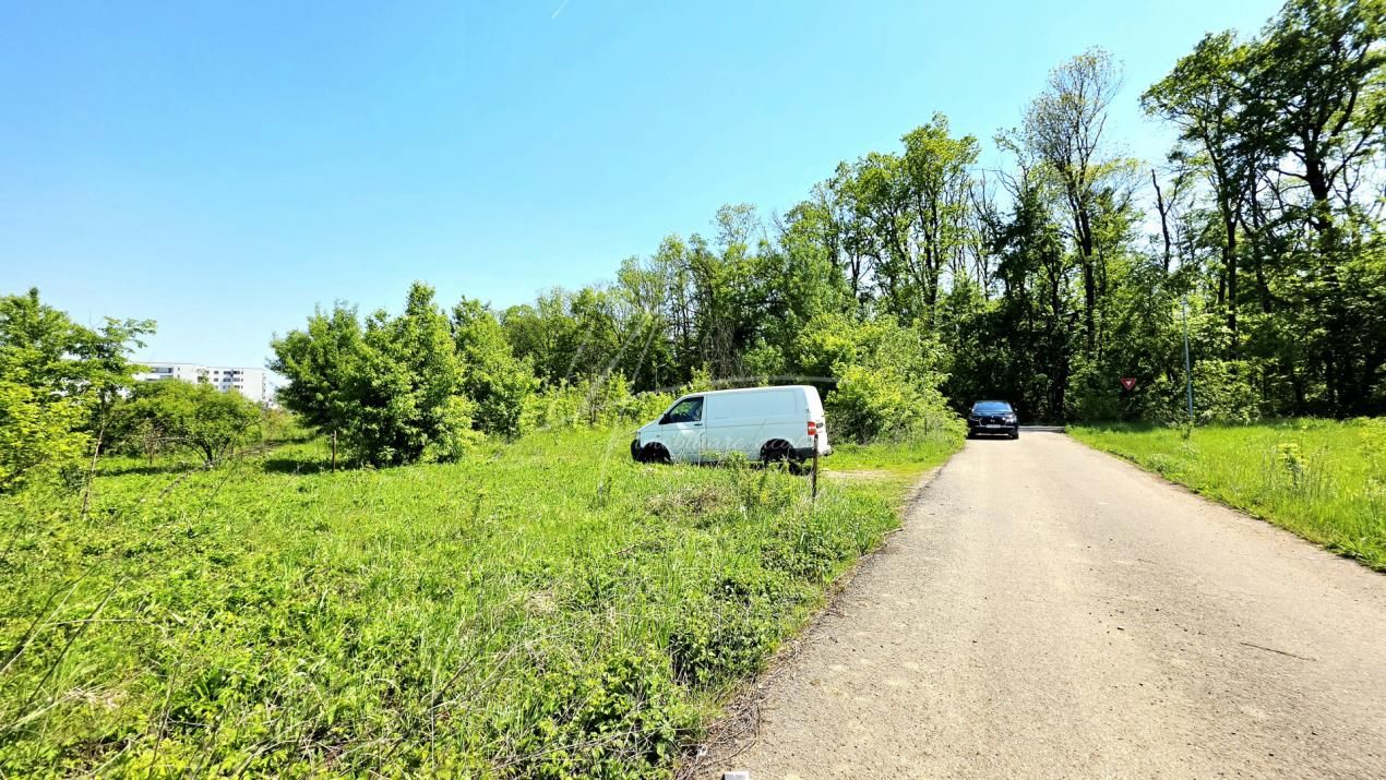 Teren intravilan, 2 fronturi, Drumul Padurea Pustnicu 65 - Greenfield – fotografia 14 din 43