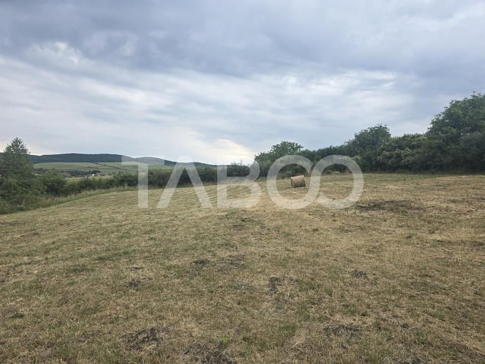 Teren de vanzare 8700 mp cu un front de 30m in Sura Mare – fotografia 5 din 8
