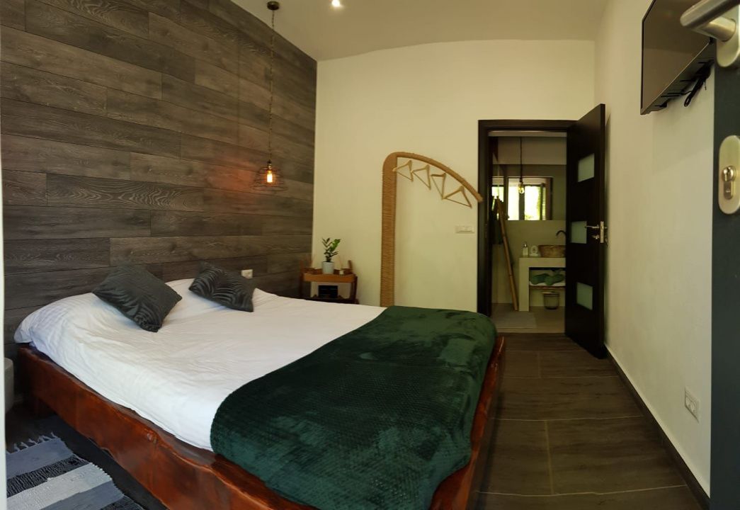 Casa Lux Mediteraniana cu 1620 mp. teren mobilata utilata CETATE cazare pensiune – fotografia 42 din 52
