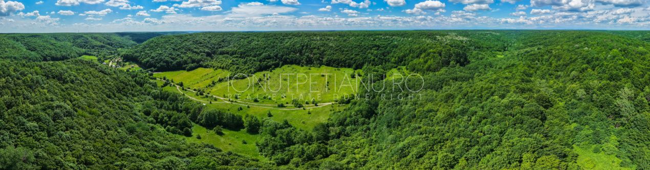Teren Pasune + Arabil - Valea Mare Podgoria Arges – fotografia 12 din 29