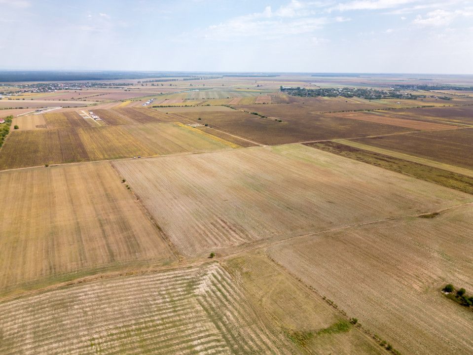 DASCALU - TEREN INTRAVILAN 7500 MP, INVESTITIE! – fotografia 15 din 17