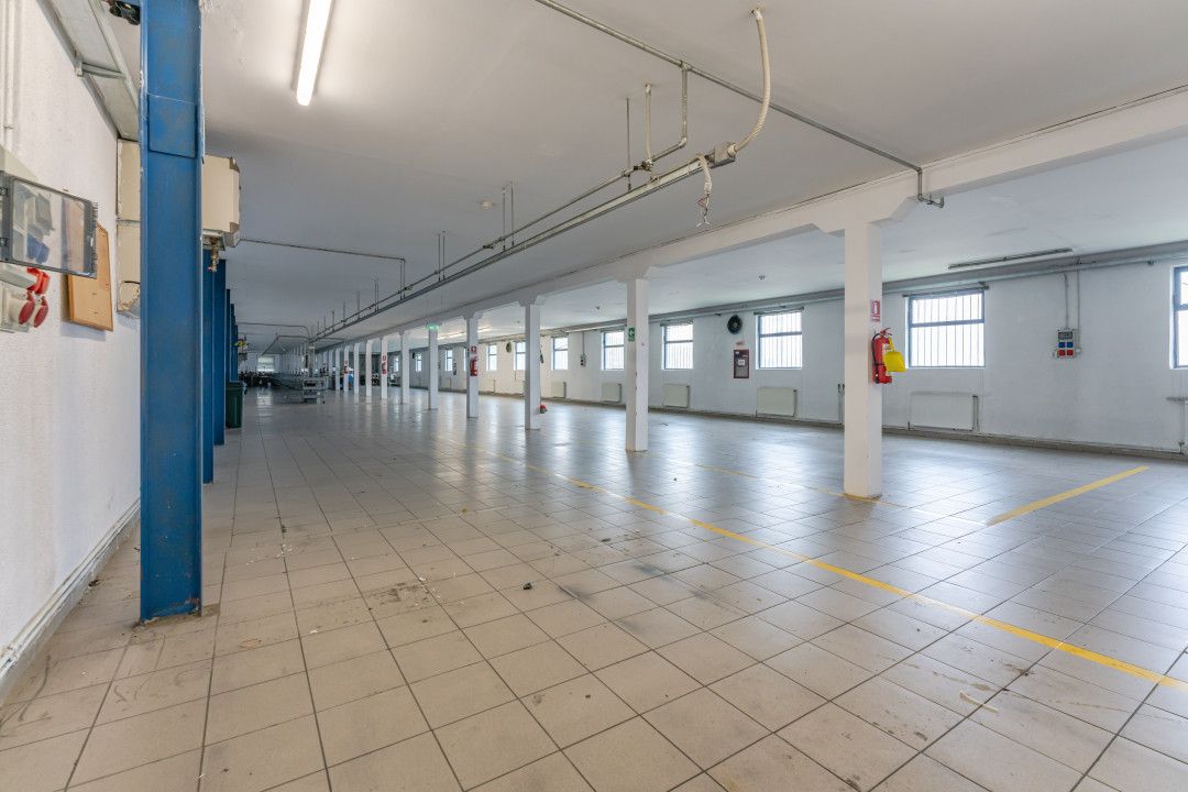 Hală de depozitare și producție - Teliu, Jud. Brașov – fotografia 11 din 16
