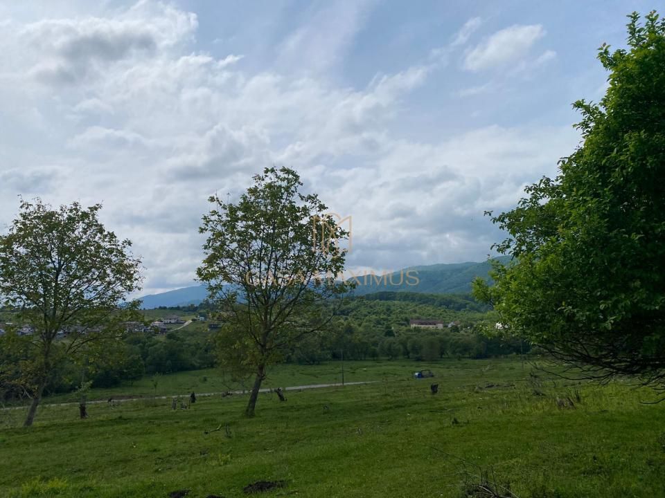 TEREN CU PANORAMĂ SPECTACULOASĂ ÎN CISNĂDIOARA – OPORTUNITATE DE INVESTIȚIE! – fotografia 8 din 15
