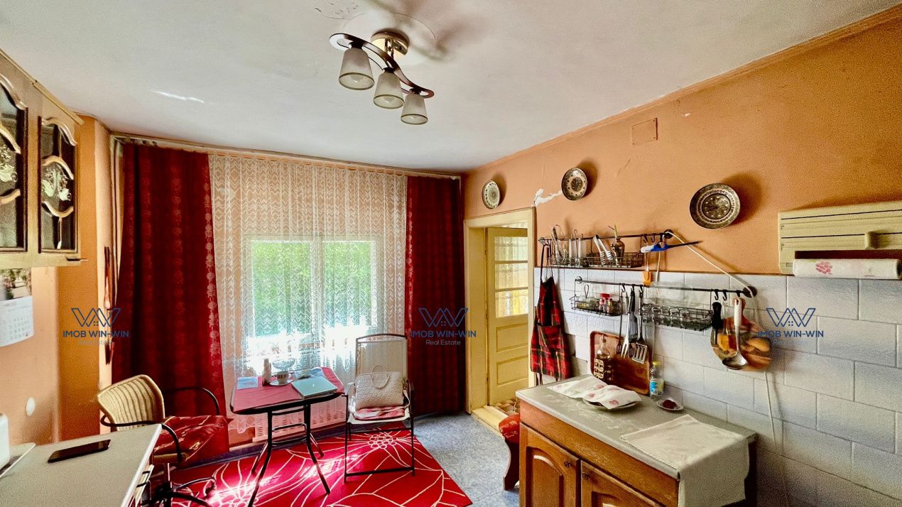 Proprietate Excepțională cu Potențial Dublu în Valea Ursului, Argeș – fotografia 5 din 20