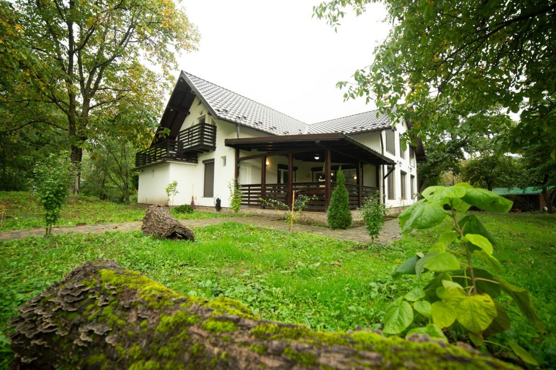 Cabane de vânzare Reghin Deda - Bistra Mureșului – fotografia 5 din 44