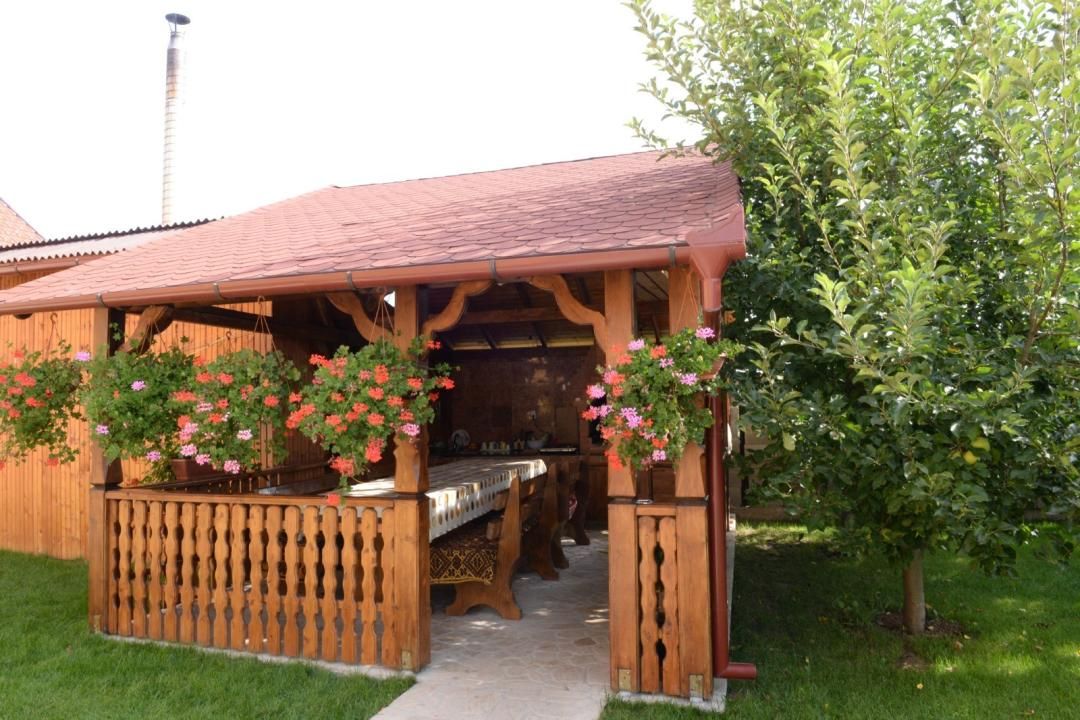 Casa cu 8 camere de inchiriat, Sanmartin, Bihor – fotografia 5 din 10