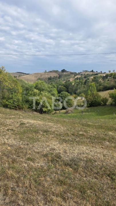Teren de vanzare 8.300 mp Plesi Loman judetul Alba – fotografia 2 din 10